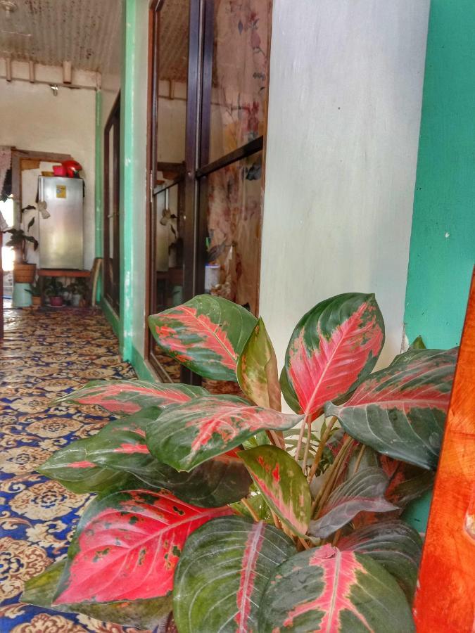 Abba Homestay General Luna  Luaran gambar